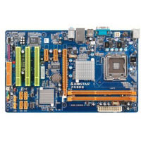 BIOSTAR P43D3